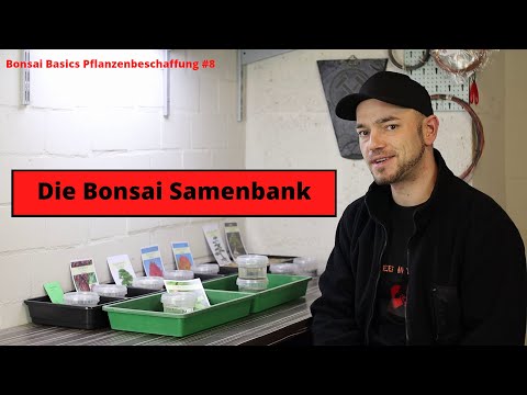 Einfach Bonsai aus Samen ziehen [Die Bonsai Samenbank] | Bonsai Basics Pflanzenbeschaffung #8 Samen