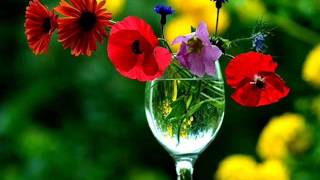 Nils - Ready to Play - Dreamin'