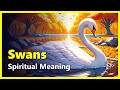 Spiritual Meaning of Swans (Dreams, Encounters & Historical Symbolism)