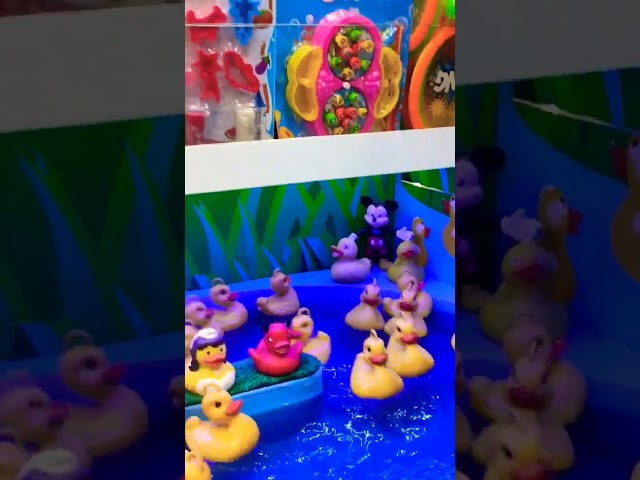Vídeo relacionado con Vibbang Juguete de Pato Saltarina, Juego de Pesca Magnético, Juegos Musicales de Salto y Captura de Pato, Juegos de Mesa Emergentes Duck Dash, Juegos Familiares de Rebote y Captura para Niños