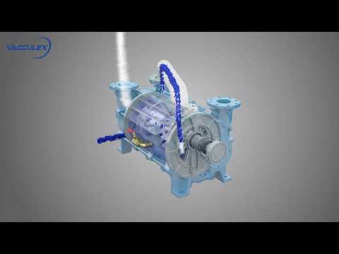 Working Principle of Liquid Ring Vacuum Pump - Vacculex