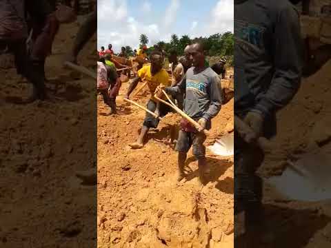 Field Operations