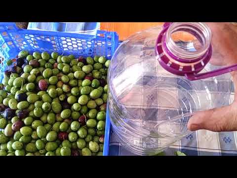 Como curtir azeitonas no garrafão