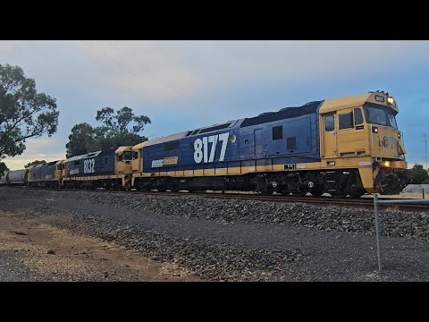 7731V/7935V PN down empty grain (8177 8135 BL31, 39H), Geelong to Birchip, 0655, 1/2/26, Donald VIC 