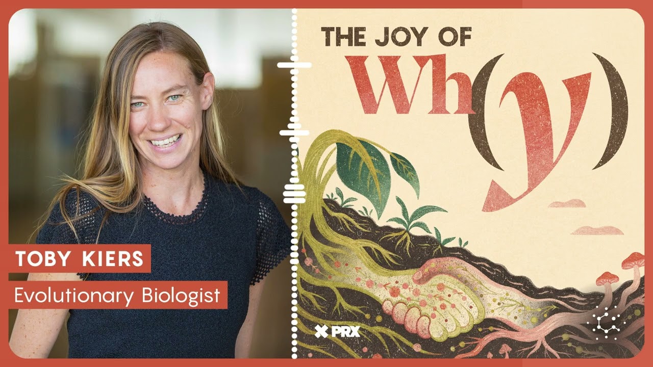 How Do Fungi Keep the Planet Healthy? | PODCAST: The Joy of Why