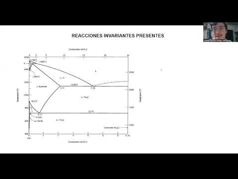DIAGRAMA DE FASES HIERRO CARBONO