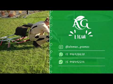 Venda de Grama Esmeralda e Batatais com Entrega ITAPETININGA SÃO PAULO | Alemão Gramas