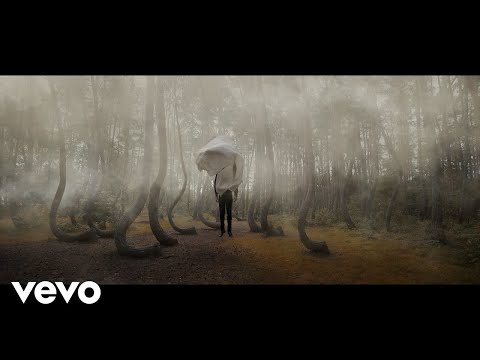 Sebastian Plano - Purples (Visualiser)