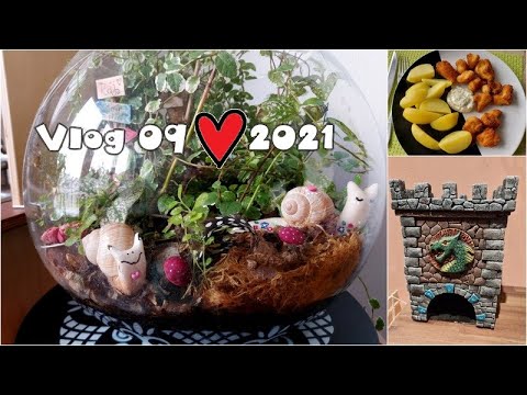 Vlog 09/21 - akvárkový