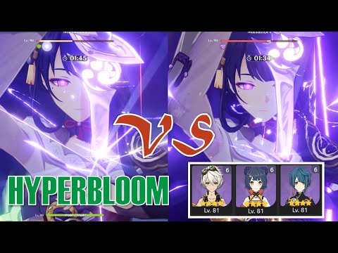 HYPERBLOOM VS RAIDEN NATIONAL TEAM | Raiden Shogun Genshin Impact Comparison Video