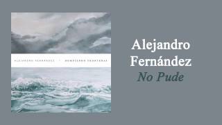 Alejandro Fernández - No Pude | Letra