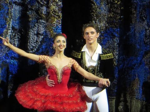 Don Quixote   MAMT 14 12 2012   Sergei Polunin   Erika Mikirticheva   K  Shapran