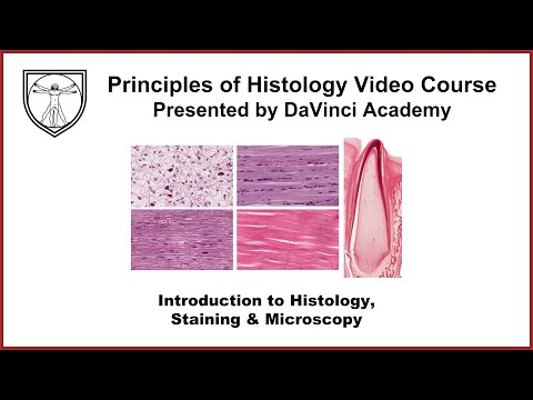 Introduction to Histology, Staining, and Microscopy