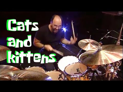 Cats and Kittens: Peter Erskine