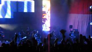 Chancho en Piedra   Una aguja en un pajar