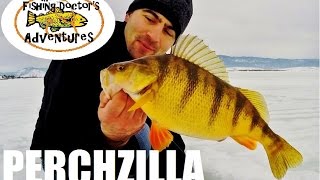 Monster Idaho Jumbo Perch Ice Fishing with Jaw Jacker FishHunter Directional 3D