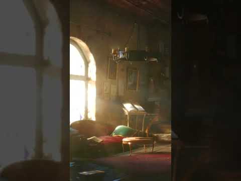 Animated Background TikTok - Magic Bookstore In The Woods | Free