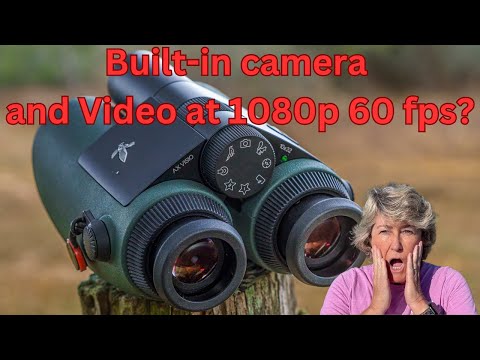 Ist Swarovski AX Visio eine echte Revolution oder nur Glanzstück?