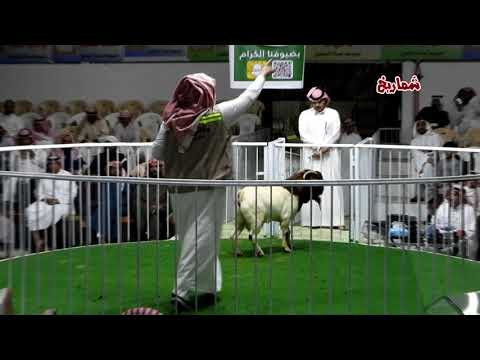 مزاد ماعز البوقرت  وماعز الحليب المستورد في عنيزة (  الجزء الأول )