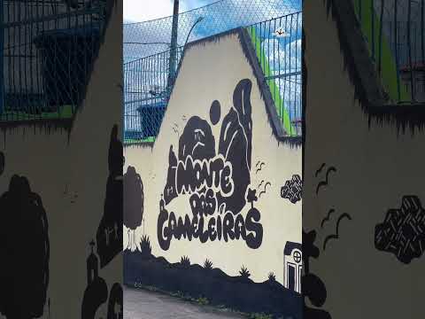 Monte das Gameleiras, RN #rotanordeste