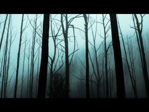 Film Review: 108 Biutiful 2010 (dir. Alejandro González Iñárritu) R15 | SDRSPodcast