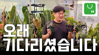 가든킹 스마트 스토어 업데이트 시작합니다????  ㅣ 기다려주셔서 감사합니다