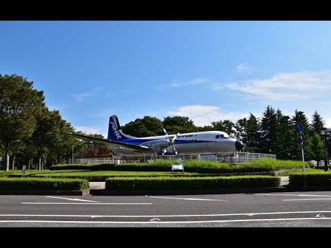 動画サムネイル