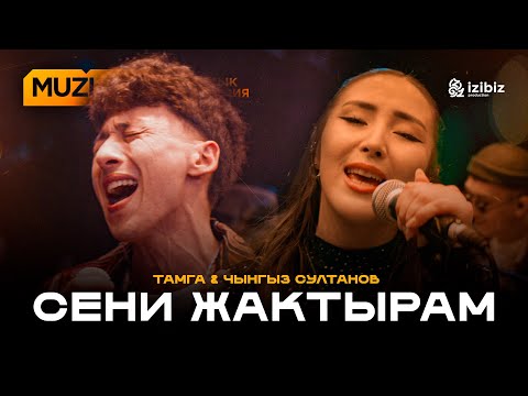 Тамга – Сени жактырам | LIVE MUZLAB | Чынгыз Султанов
