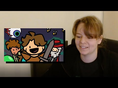 explaining some of the jokes & talking about 'Terraria is cool - A Terraria animation'