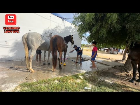 Cowboy Levy hanging out with friends at Guarani Park.