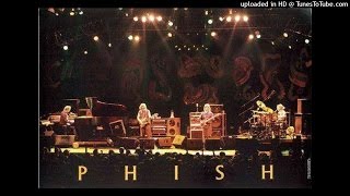 2.3 Phish 1994-04-08 (AUD) It&#39;s Ice - Digital Delay Loop Jam - It&#39;s Ice, PSU