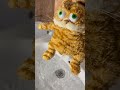 Garfield Pee Garfield Itstimetotakeapee