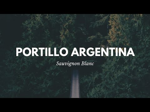 download lagu mp3 mp4 Portillo Sauvignon Blanc 2018, download lagu Portillo Sauvignon Blanc 2018 gratis, unduh video klip Portillo Sauvignon Blanc 2018