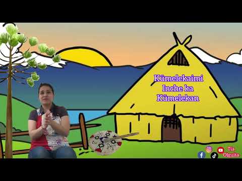 Mari Mari! Saludo mapuche, pueblo originario del sur de Chile!