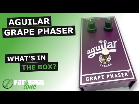 Aguilar Grape Phase image 6