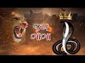 Jay Goga Maharaj status video 🙏 Jay Goga 👑 Goga Maharaj status video 2024 #goga #gogaji #gamansanthl