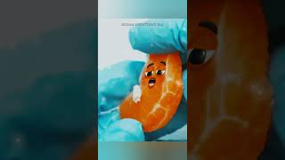 Download lagu Kangal Neeye...🥰💞 // NIGHA CREATIONS 360 mp3 Download lagu Kangal Neeye...🥰💞 // NIGHA CREATIONS 360 mp3