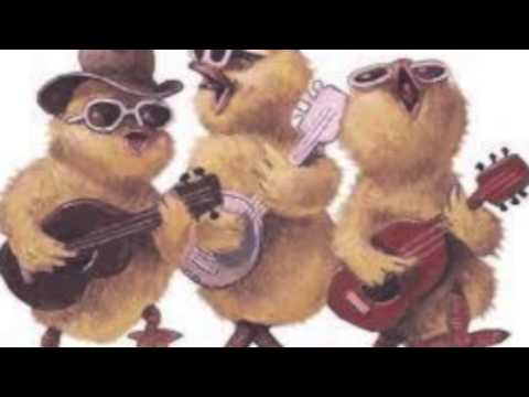 Love me -cover by Amadea Begović