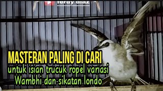 Download lagu Masteran trucuk paling dicari dan mudah di tirukan untuk isian  ropel variasi Wambhi & sikatan londo mp3