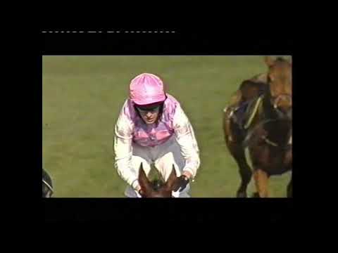 2006 Royal Sun Alliance Chase - Cheltenham Festival