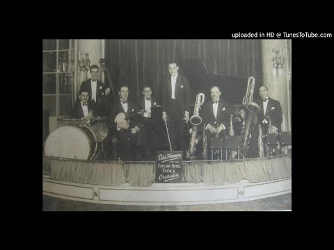 Bert Firman dance orchestra - i never knew - 1926 foxtrot