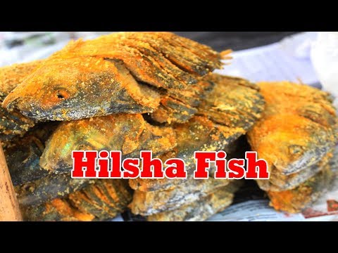 Ilish Shutki Dried Hilsa 100g