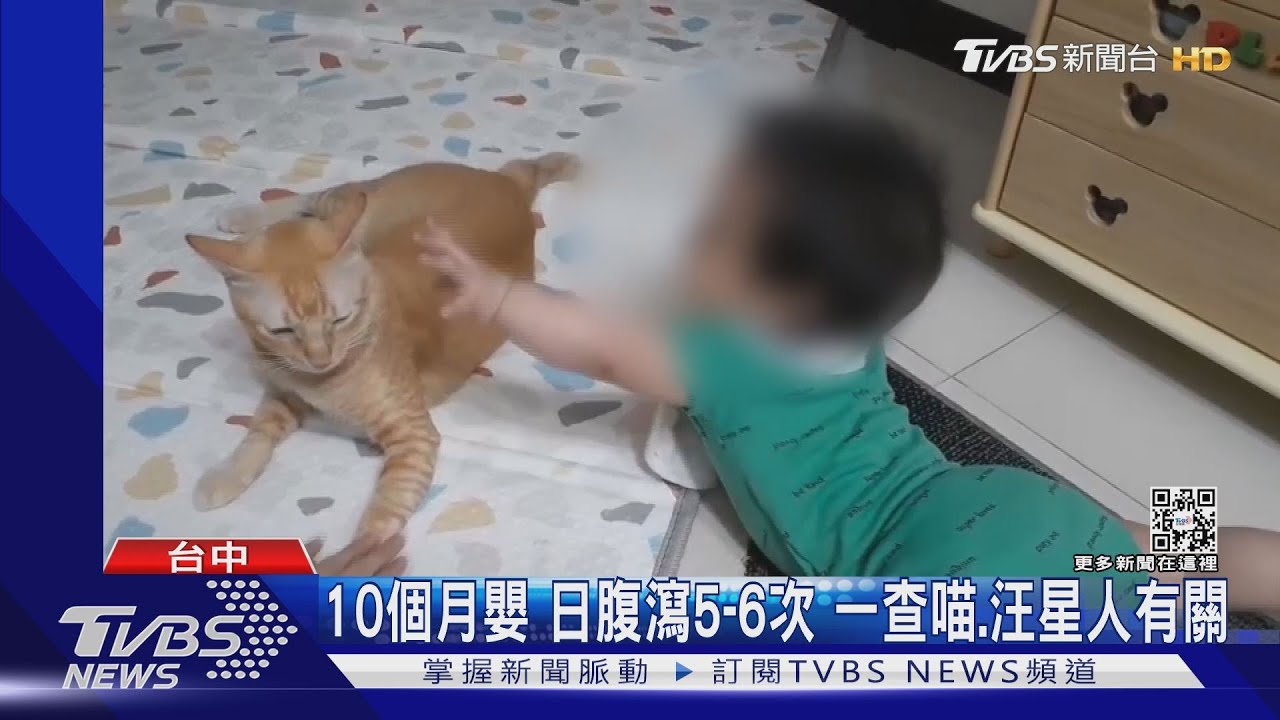 10個月嬰日腹瀉5到6次　一查喵、汪星人有關