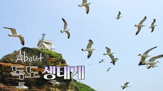 [온라인독도 나들이]About 독도 생태계