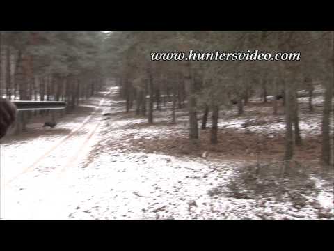 Schwarzwildfieber 4 - Hunters Video