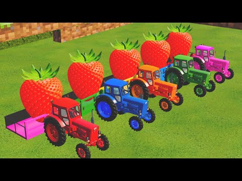 TRANSPORT GIANT COLORED STRAWBERRY WITH FIAT TRACTORS - Farming Simulator 22
