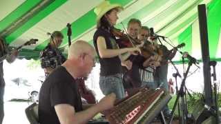 #536  Stewed Mulligan - "Tam Lin"