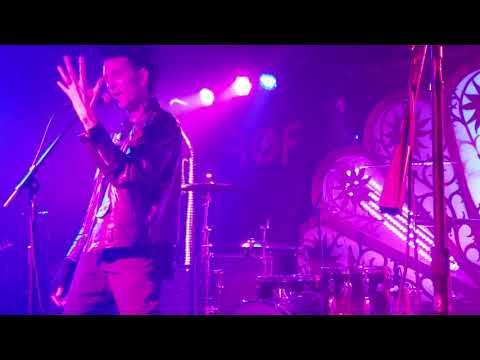 Dave Bats introduces FANGS ON FUR