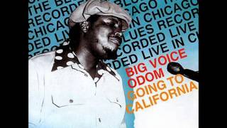 Andrew "Big Voice" Odom, Jimmy "Fast Fingers" Dawkins, Jimmy Johnson - Wonder Why - Thrill Is Gone