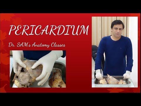 PERICARDIUM | Fibrous Pericardium | Serous Pericardium | Epicardium | Demonstration by Dr. SAM